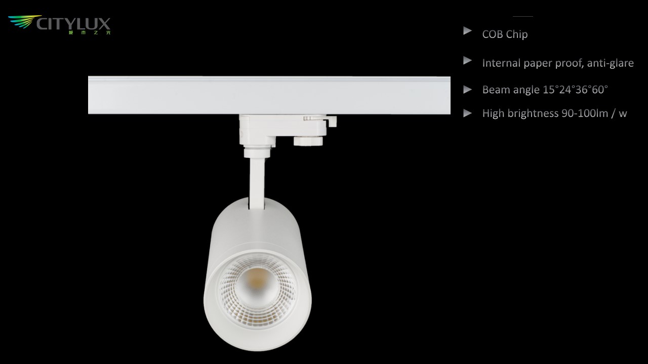 1000LM White LED Track Lamp 