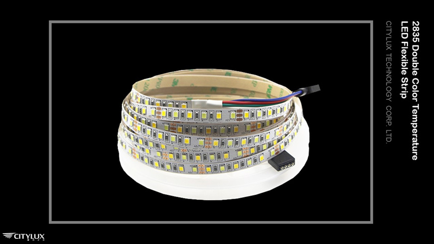 2835 Double Color Temperature LED Flex Strip