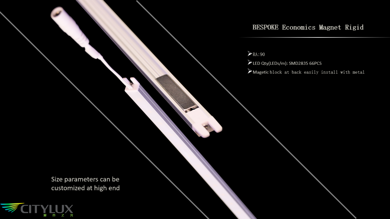 Economics LED Magnet Rigid 