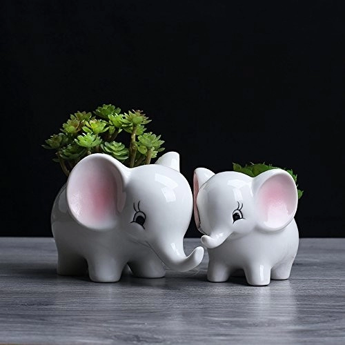 أواني نباتات عصارية بيضاء حديثة من السيراميك مكونة من قطعتين من السيراميك على شكل فيل