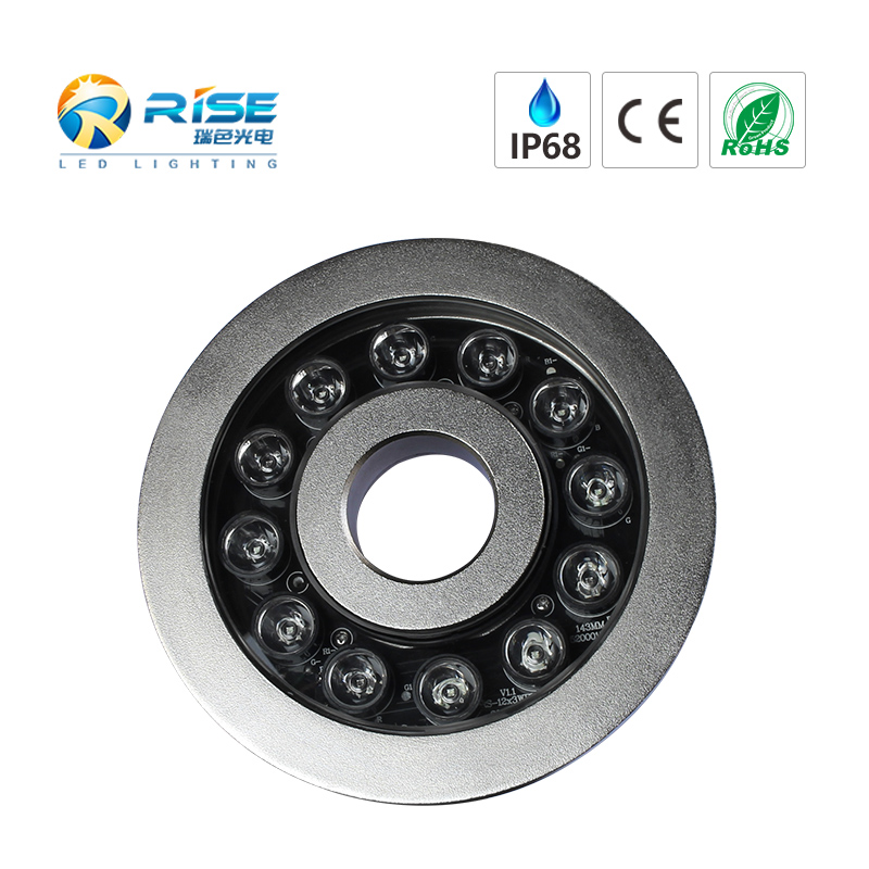 316SS LED Fountain Light 