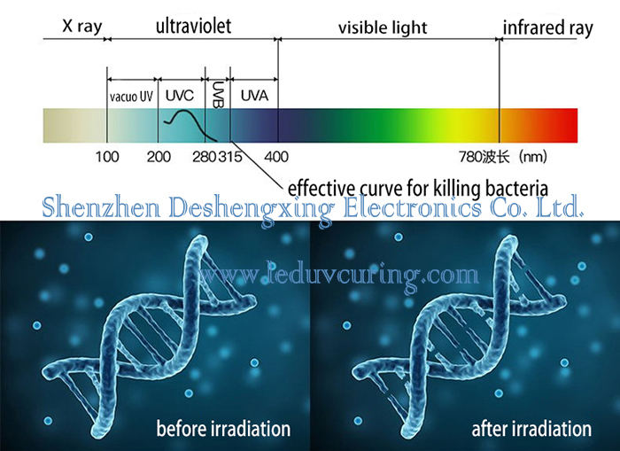 جهاز مطهر محمول بالأشعة فوق البنفسجية LED للتعقيم مصباح UVC LED محمول يقتل البكتيريا