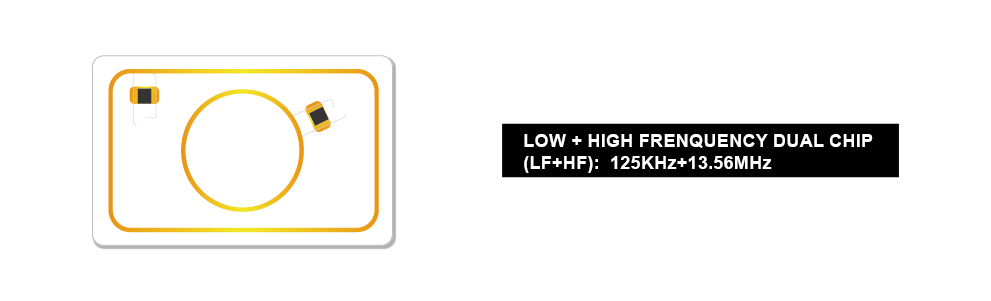 dual rfid card HF with LF