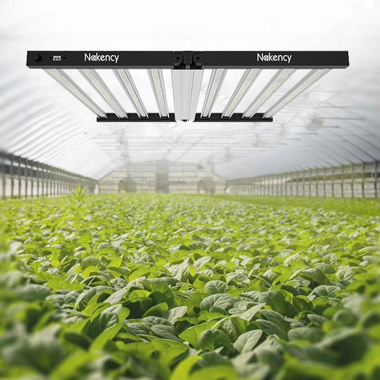 600w مصنع تنمو إضاءة الدفيئة الصمام تنمو أضواء النبات الخفيفة
