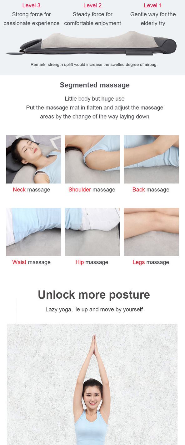 Full Body Massager Cushion