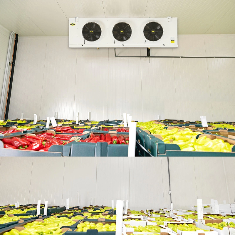 وحدة مبخر للتخزين البارد للخضروات والفواكه بقدرة 9.18 كيلو وات